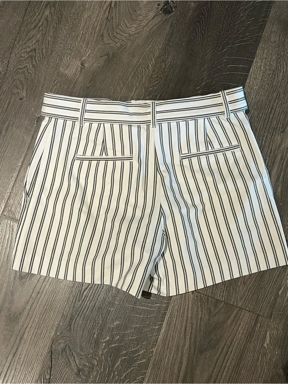 Ann Taylor Striped Tie Waist Shorts | Size 6 | Nautical Summer Style - Picture 5 of 5